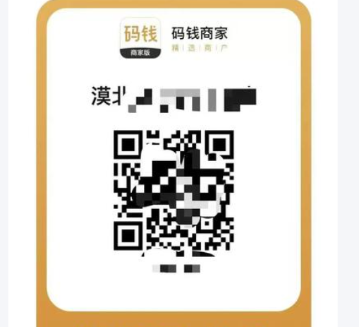 小微商户适合申请哪些商家收款码？